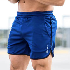 2025 NEW Summer Running Shorts Men Jogging Fitness Shorts Quick Dry Mens mesh printing Breathable sports shorts Men's sweatpants